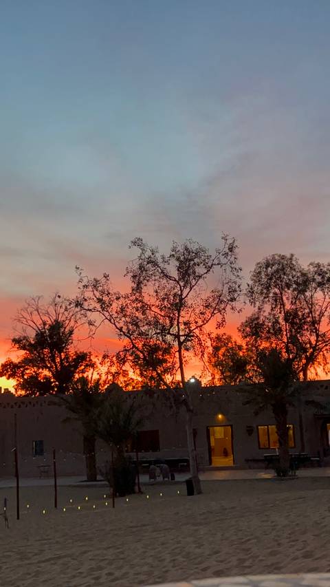      Silhouetted trees frame a fiery orange and pink sunset sky
  