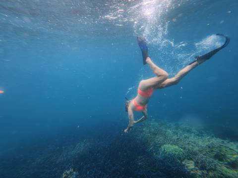       Underwater scene of a snorkeler diving toward coral reef in clear blue sea.
  