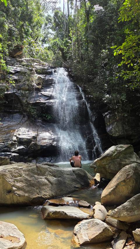       Back view of man bathing in the pool of a small jungle waterfall.
  