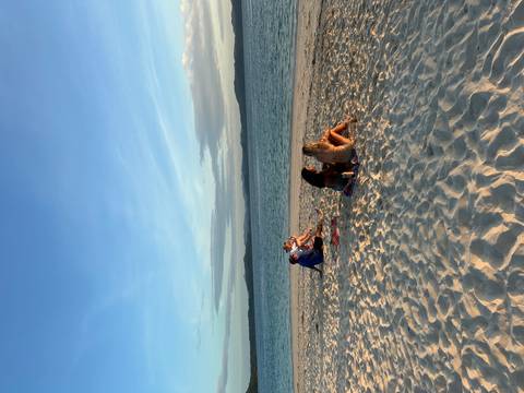       Small group relaxes on white-sand beach as the sun lowers over a calm sea.
  