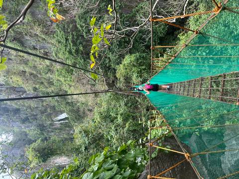       Hiker crosses a narrow suspension bridge high above dense tropical forest.
  