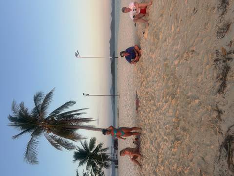       Tropical beach scene with a palm tree, a woman in swimwear, and a friend sitting on the sand at sunset
  