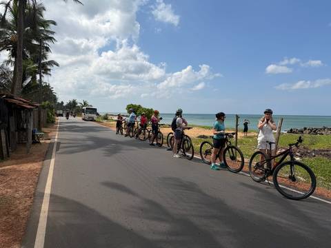       Cyclists pause on a coastal road beside turquoise sea and palm trees.
  