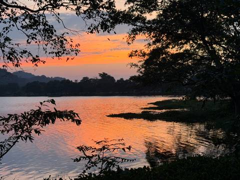       Fiery orange sunset reflecting on a tranquil lake framed by tree silhouettes.
  