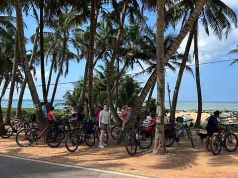       Cyclists gather under tall palm trees by the beach.
  