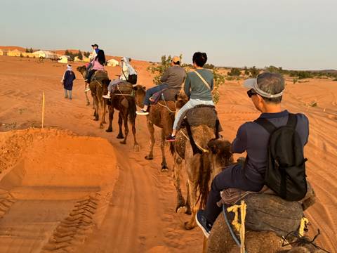       Camel caravan carrying tourists across the red dunes at sunset.
  
