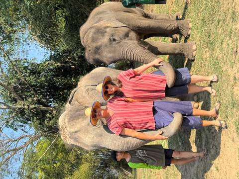       Two visitors in matching traditional shirts stand with gentle elephants at a sanctuary.
  