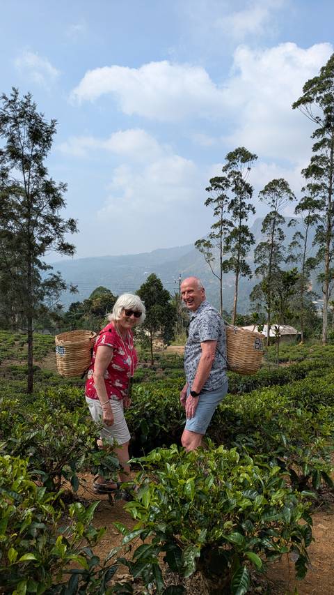       Older couple smiling in a tea plantation carrying woven baskets on their backs.
  