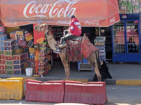       Local man on a decorated camel waiting outside a colourful roadside market stall.
  