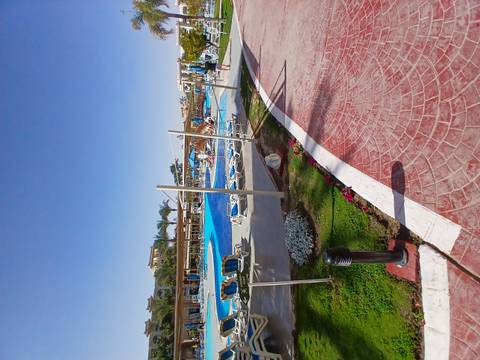       Resort swimming pool with sun loungers, guests and palm-fringed hotel blocks under clear sky.
  