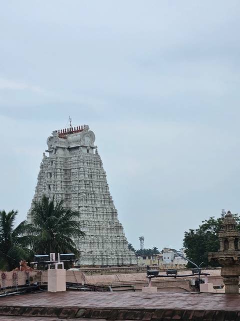       White stone temple tower with sculpted deities rising above palm trees against a pale sky.
  