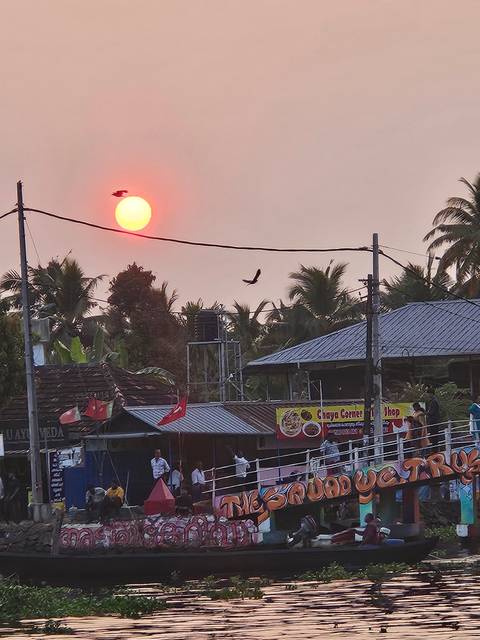       Orange sun setting above palm-lined rooftops and power lines, with birds silhouetted against a hazy sky in a tropical town.
  