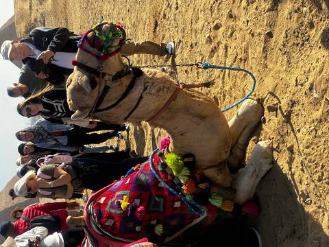       Tourists gather around a seated, colourfully decorated camel in the desert near pyramids.
  