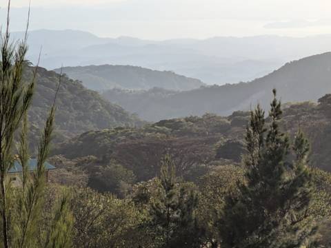       Layered green ridges and misty valleys of a cloud forest region at evening light.
  