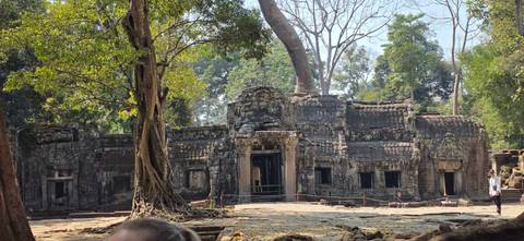       Ancient stone temple ruins sit beneath towering jungle trees and dappled sunlight.
  