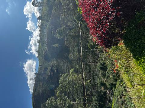       Rolling tea fields rise to a ridge marked by a bold white LABOOKELLIE sign under blue skies.
  