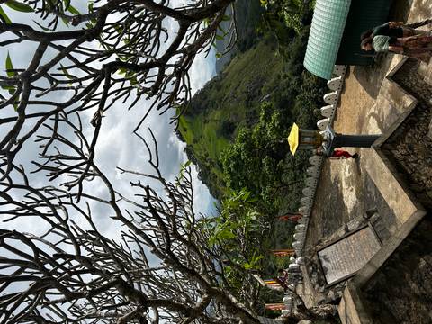       A lone visitor stands on a temple terrace framed by leafless branches with a green hill beyond.
  
