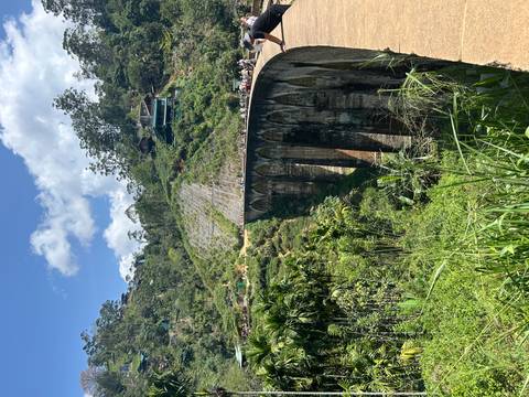       Sri Lanka's famous Nine-Arch railway bridge curves through lush valley jungle.
  