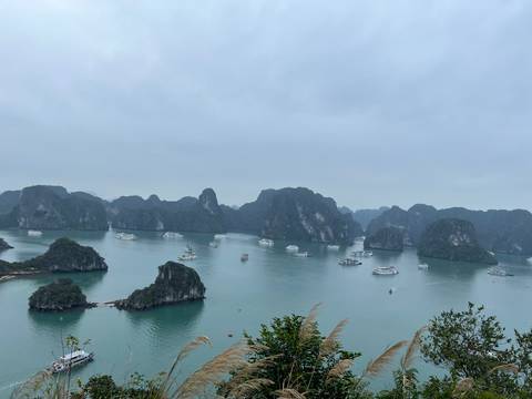       Panoramic view of emerald waters and limestone islets dotted with cruise boats in Halong Bay.
  
