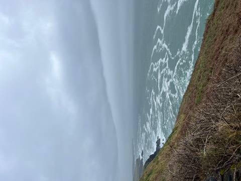       Moody overcast coastal cliff view with white-capped waves rolling toward shore under grey skies.
  