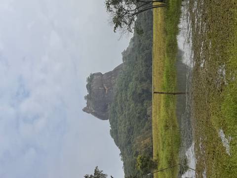       Distinctive Sigiriya rock monolith rising above lush forest and watery fields under a cloudy sky.
  