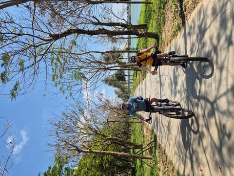       Cycling duo cruise down a paved avenue lined with young leafless trees beside a lake.
  