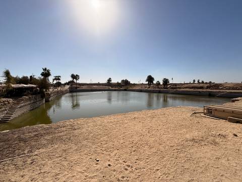       Rectangular sacred lake surrounded by sand and palm trees under bright morning sun.
  