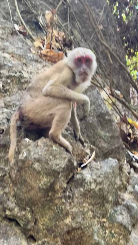       foto de reseña de cliente de Lo mejor del norte de Tailandia 
  