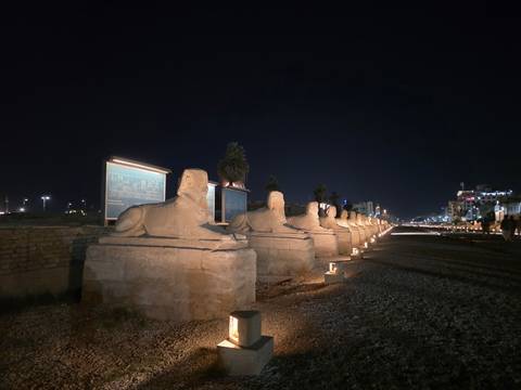       Night view of the illuminated Avenue of Sphinxes in Luxor stretching into the distance.
  