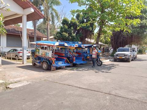       Row of colorful tuk-tuks parked beside a shady tree while a driver waits nearby.
  