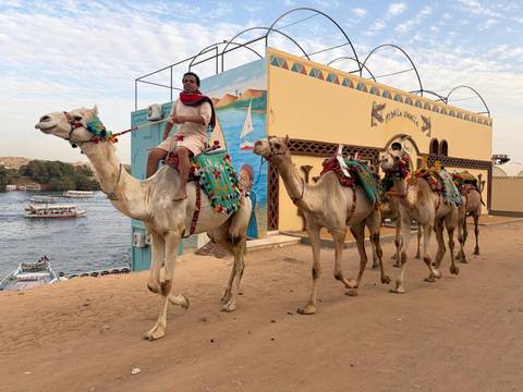       A man leads a line of brightly decorated camels along the banks of the Nile with boats sailing on the river behind.
  
