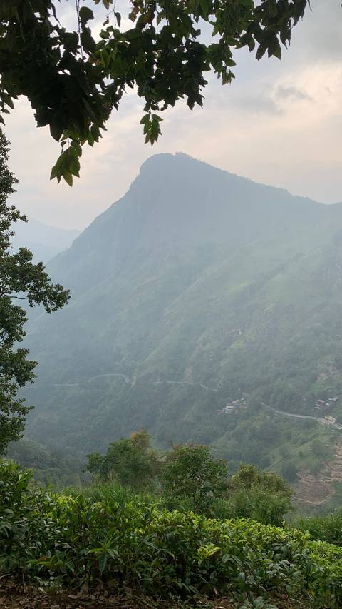       Misty, hazy view of green mountain slopes fading into the distance
  