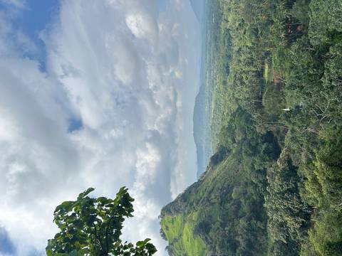       Expansive view over green valleys, coconut groves and distant hills beneath a partly cloudy sky
  