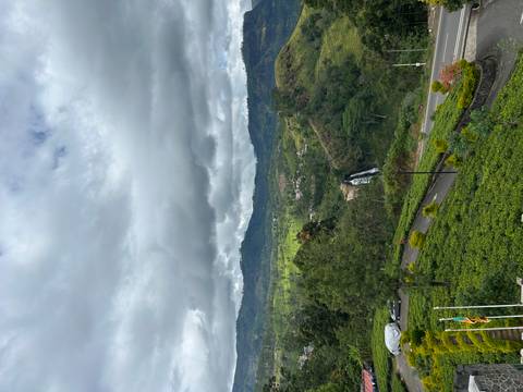       Verdant tea plantations with a small waterfall cascading in the distance under cloudy skies
  