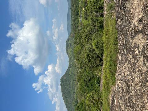       Expansive scrubland and rolling green hills beneath a bright blue sky with scattered clouds
  