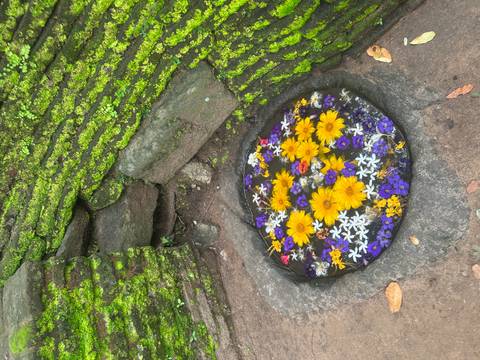       Circular stone basin filled with colorful floating flowers set against moss-covered ruins
  