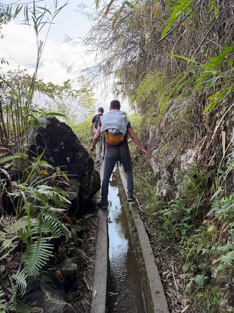       Travellers carefully trekking along a narrow muddy jungle path beside large rocks and ferns
  