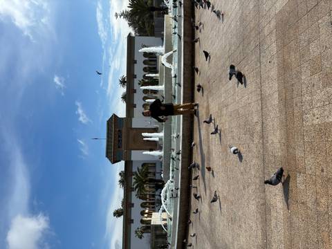       Man among pigeons in front of fountain and colonial building in Casablanca square.
  