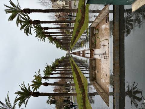       Rain-soaked palm-lined boulevard with a long dry fountain channel stretching into the distance on an overcast day
  