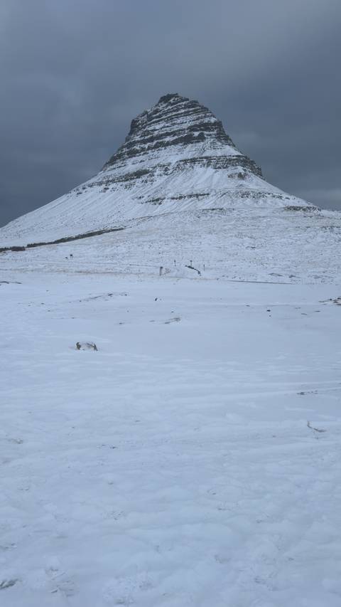       Wide expanse of snow-covered plain and distant hills under a grey winter sky.
  