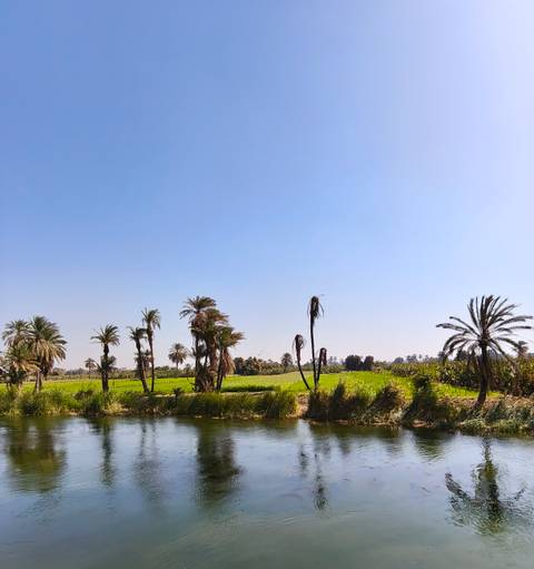       Peaceful Nile-side rural landscape with palm trees, green fields and calm river water under a clear blue sky.
  