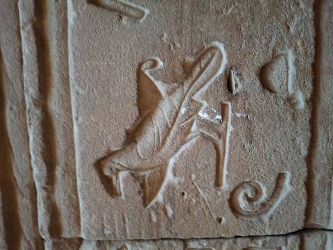       Close-up of a bird hieroglyph carved into sandstone, highlighting ancient Egyptian craftsmanship.
  