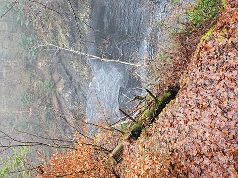       Foggy gorge with autumn leaves and dark swirling river far below
  