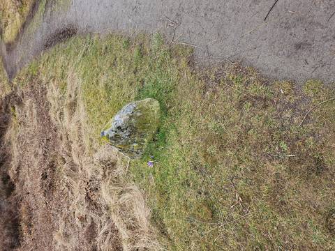       Small inscribed memorial stone marked 'Campbell' set in grassy field beside path
  