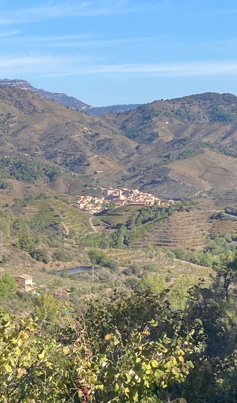       Distant zoomed view of a small Spanish hill village surrounded by dry terraces and scrub
  