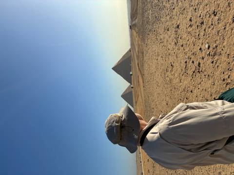       Traveller gazes at the three pyramids from desert plateau under clear morning sky
  