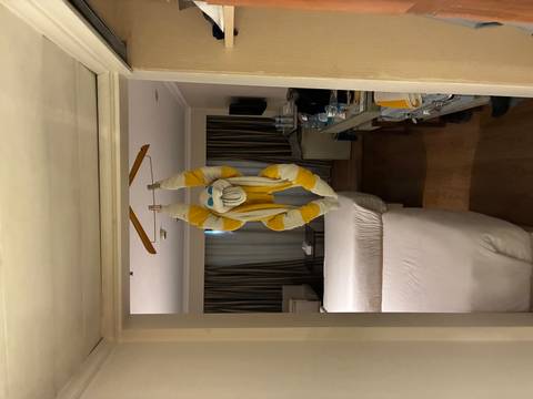       Playful towel animal resembling a lemur hangs from a clothes hanger in a hotel room
  