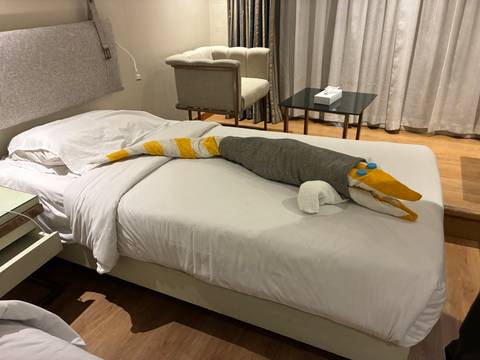       Fun towel sculpture shaped like a crocodile rests on hotel bed linens
  