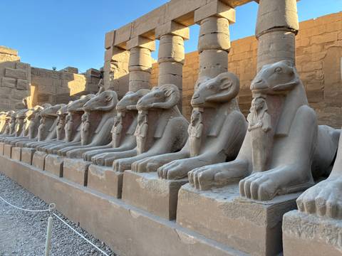       Row of ram-headed sphinx statues lining the avenue at Karnak Temple in Luxor
  