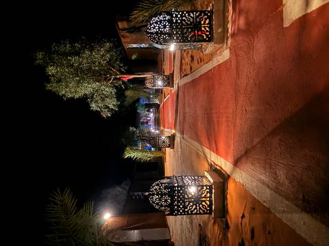       A lantern-lit carpeted pathway between desert camp tents under the night sky.
  